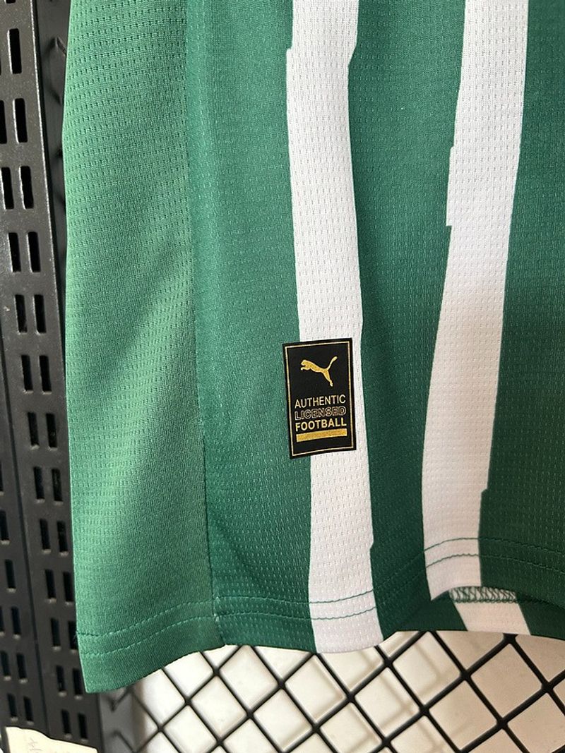 Palmeiras 2025-2026 special edition - Image 7